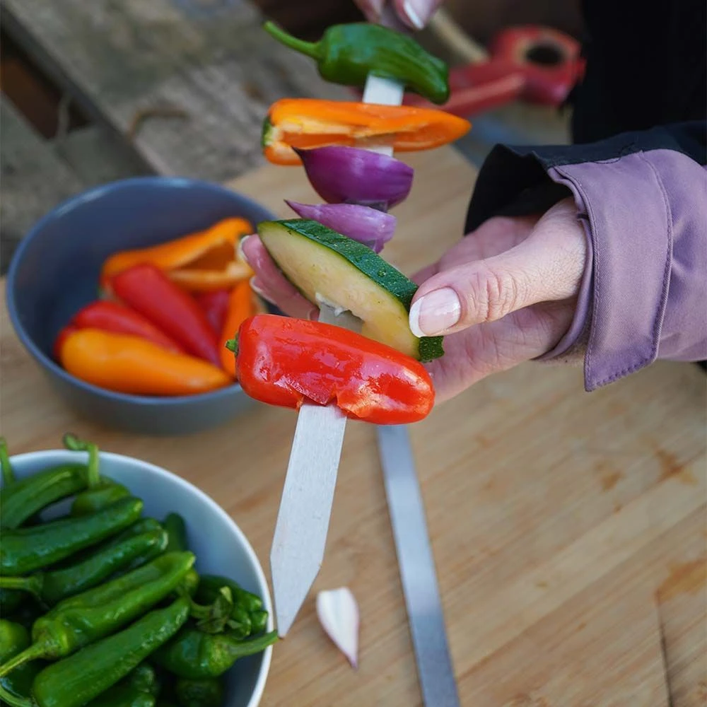 BlazeBox Stayer Mini Grillspieß-Set 2 BlazeBox Stayer Mini Grillspieß-Set – Bild 2